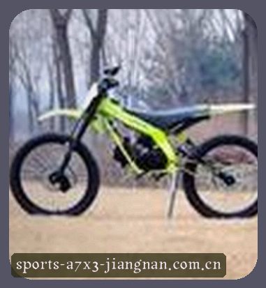 刘佳